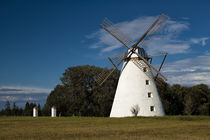 Windmühle von Vihula by Christian Hallweger
