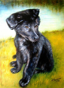 Hundeportrait schwarzer Labrador von Marita Zacharias