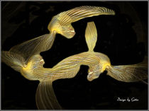 Digital Fraktaler Vogelflug by bilddesign-by-gitta