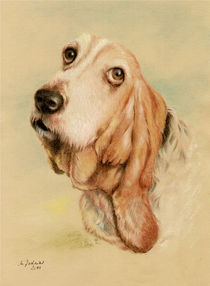 'Basset Hound - Hundeportrait handgemalt' by Marita Zacharias