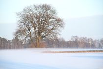 Winterlandschaft by Anja  Bagunk