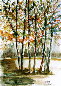 Herbstlandschaft von Irina Usova