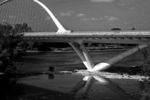 Loire-Brücke von Christian Hallweger