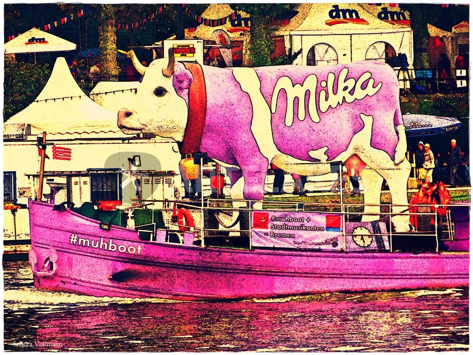 ~ Milka Cow Lilac ~ Fotografie Als Poster Und Kunstdruck Von Sandra