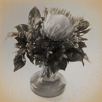 Stillleben mit Protea und Vase by ullrichg