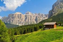 Dolomiti - high Fassa Valley von Antonio Scarpi