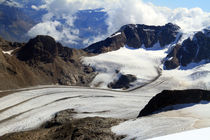 Bernina Massiv by Gerhard Albicker