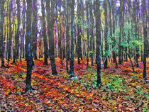 Forest in late fall by GabeZ Art