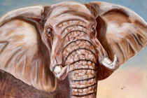 Elefant, Elephant, Wildlife, Dickhäuter, Afrika, Tiermalerei von Annett Tropschug