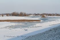 Die Elbe im Winter von Anja  Bagunk