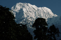 Annapurna South by heiko13
