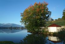 Am Luganersee by Bruno Schmidiger