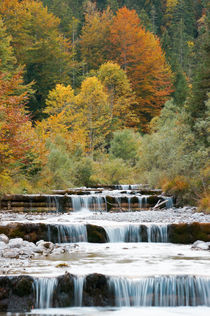 Mountain creek in Autumn colours by Thomas Matzl