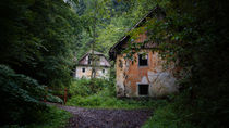 Altes Haus im Wald von Mathias Karner