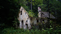 Alte Ruine im Wald von Mathias Karner
