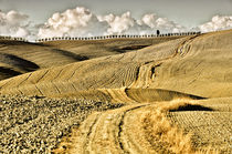 'Landschaft Toskana Italien / italian landscape Tuscany' by Thomas Schaefer
