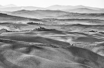 Landschaft Toskana Italien / italian landscape Tuscany by Thomas Schaefer