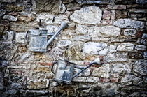 Mauer mit Gießkannen, Toskana / Tuscany by Thomas Schaefer