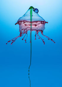Blue and pink Medusa by Jarek Blaminsky