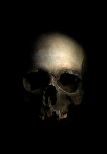 Male skull by Jarek Blaminsky
