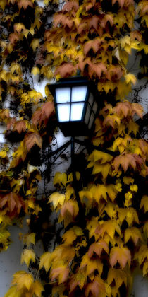 Herbstlicht - Autumn light von Chris Berger