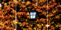 autumn light - Herbstleuchten by Chris Berger