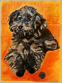 Funny Looking Black Poodle by Sandra  Vollmann