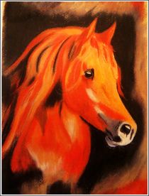 ~ Colors Pretty Horse ~ by Sandra  Vollmann