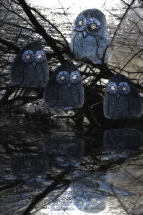 Eulenspiegel - Owl mirror von Chris Berger