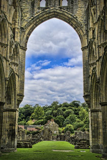 Rievaulx Abbey View by Colin Metcalf