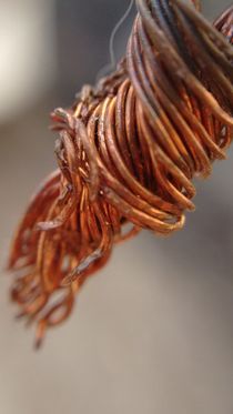 Copper Wire by Vinícius  Silva Couto