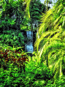 Bahamas - Tropical Waterfall by Susan Savad