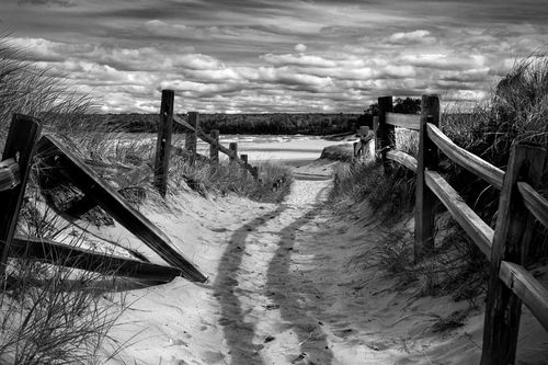 Beach-path-michigan-2015-2b