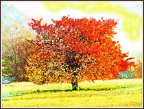 ~ Colorful Tree ~ by Sandra  Vollmann