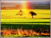 ~ Rainbow in Autumn 2 ~ by Sandra  Vollmann