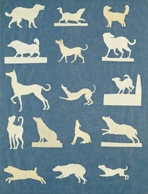 Study of Dogs  von Philipp Otto Runge