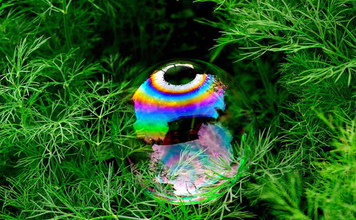 Rainbow-ball