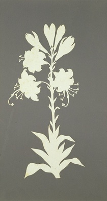 Flower  von Philipp Otto Runge