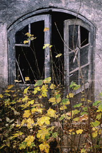 Herbst - View of an old house von Chris Berger