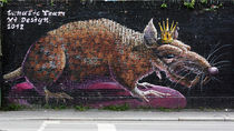 King Rat by bagojowitsch