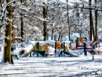 Winter Playground by Susan Savad
