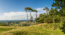 Three Trees Panorama von Malc McHugh