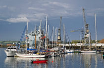 Falmouth Harbour and Docks von Rod Johnson