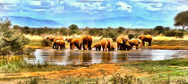 herd of elephants by Wolfgang Pfensig