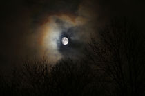 November moon by Manuel Huss