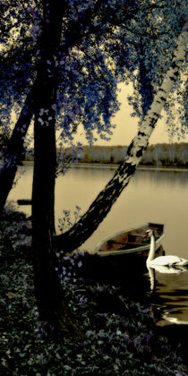 Schwanensee - Swan lake V von Chris Berger