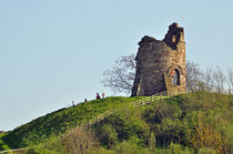 Tutbury Castle, Ruins von Rod Johnson