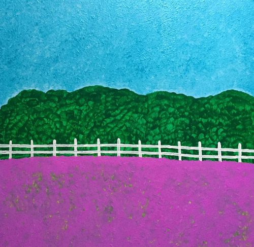 Lavender-field