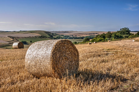 South-downs-harvest