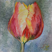 Tulip by Katia Boitsova
